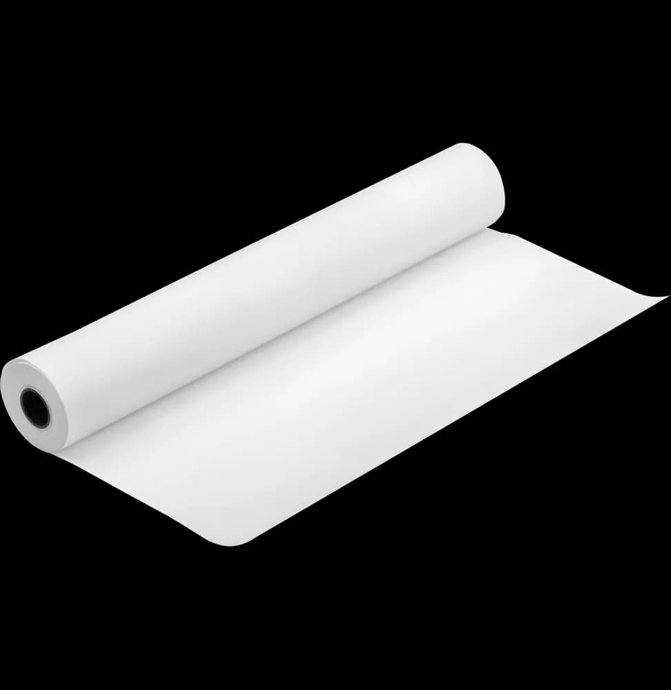 Papier d'épreuvage semi-mat Epson Proofing Paper Blanc Semimatte 250g 24" (0,610x30,5m) (C13S042004)